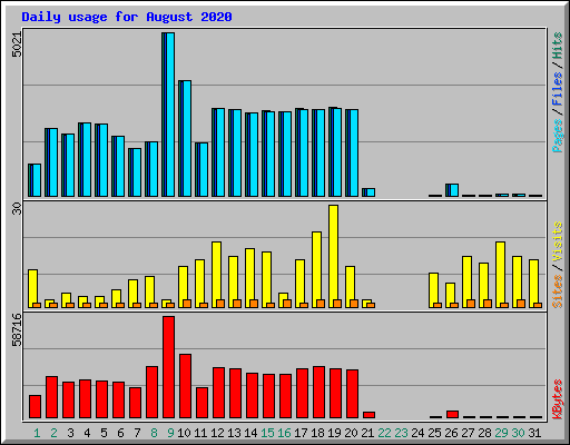 Daily usage for August 2020