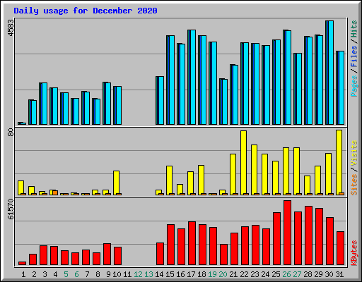 Daily usage for December 2020