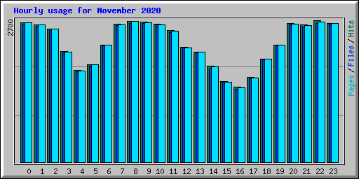 Hourly usage for November 2020