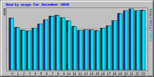 Hourly usage for December 2020