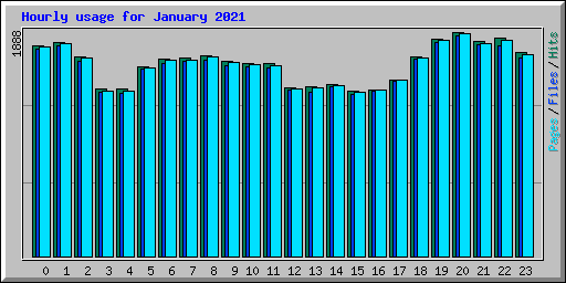 Hourly usage for January 2021