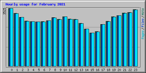 Hourly usage for February 2021